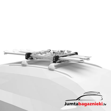 ZIEMAS SPORTAM