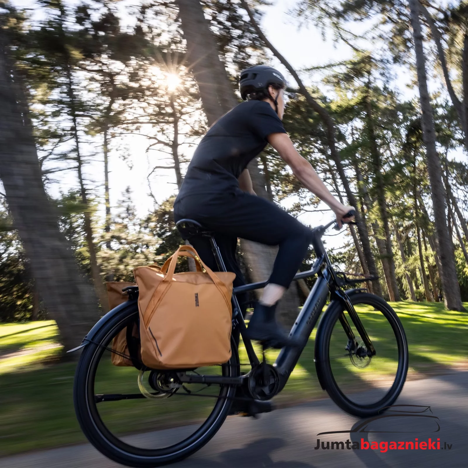 Thule Chasm Tote Inlock 25L, 3205465 Thule Chasm Tote Inlock 25L, 3205465