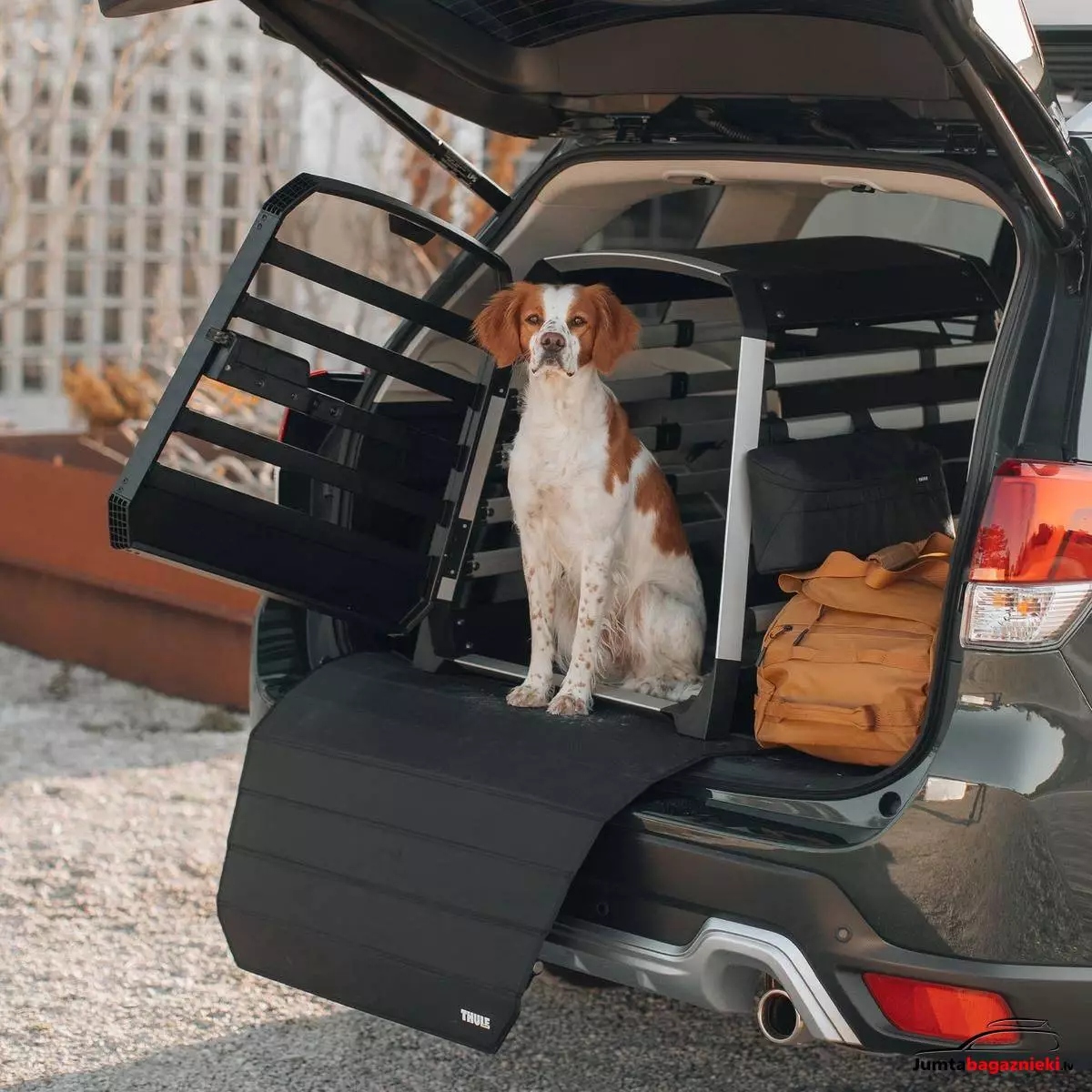 Thule Allax S, 770001 Thule Allax S, 770001