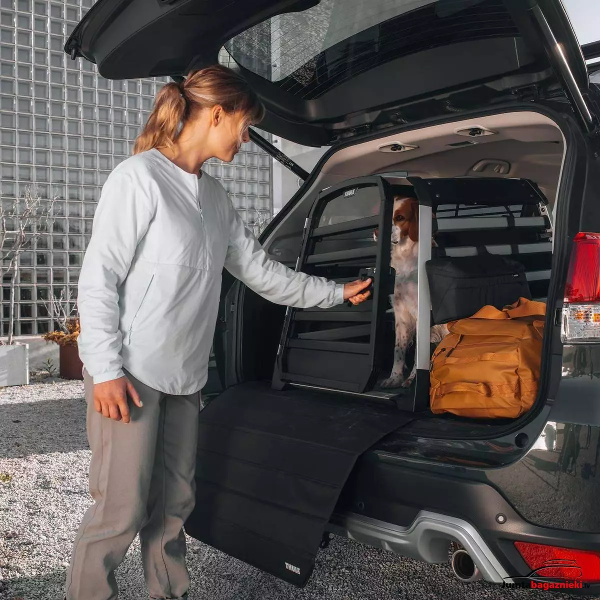 Thule Allax S, 770001 Thule Allax S, 770001