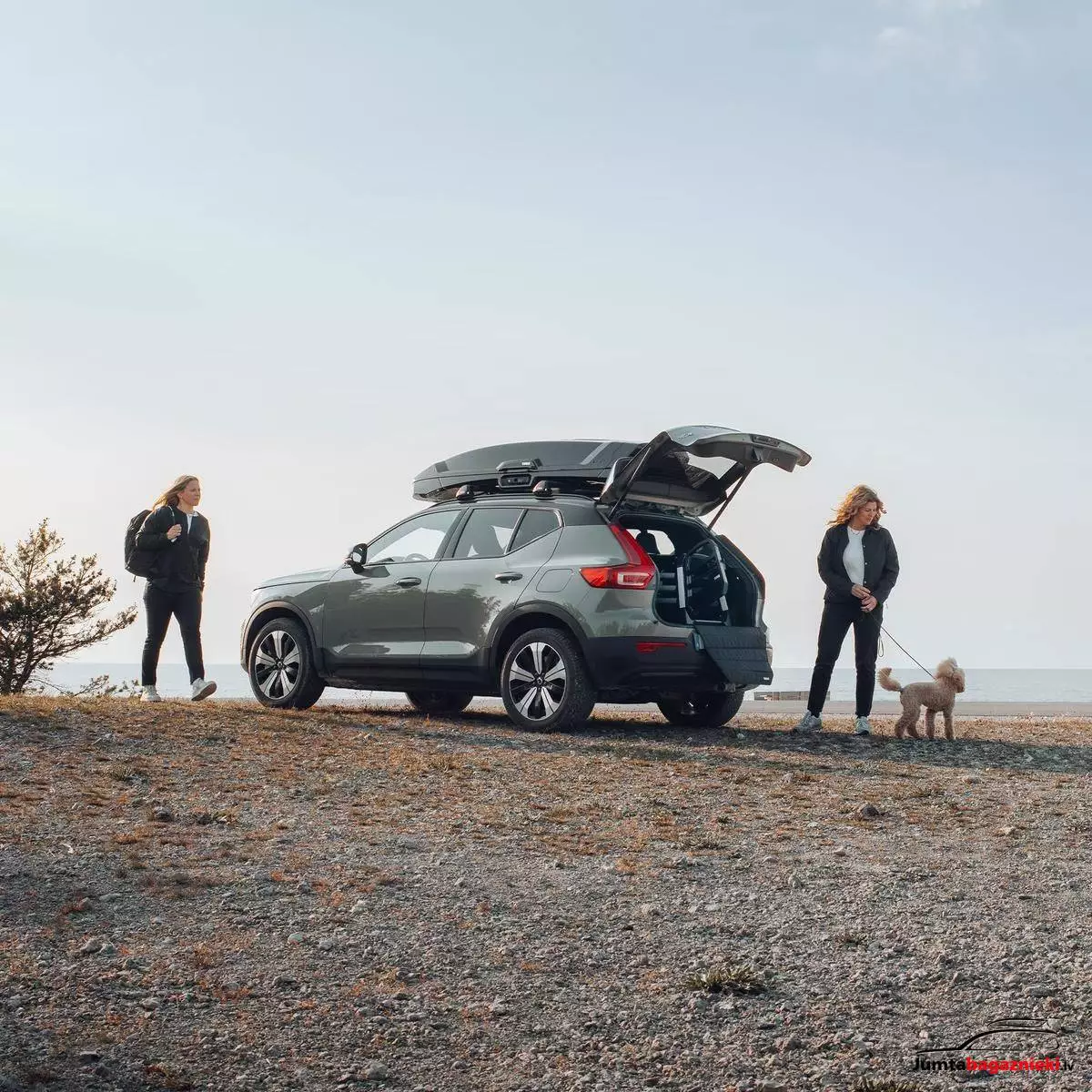 Thule Allax XL Compact, 770005 Thule Allax XL Compact, 770005