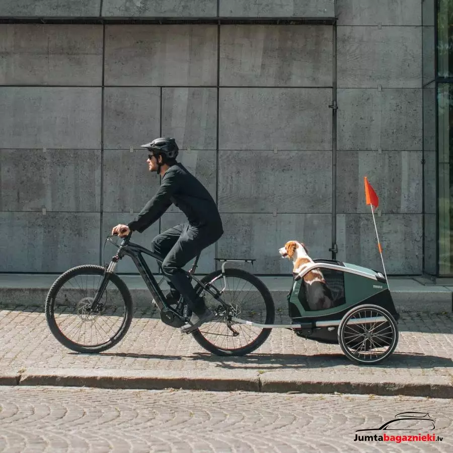 Thule Bexey M, 800000 Thule Bexey M, 800000