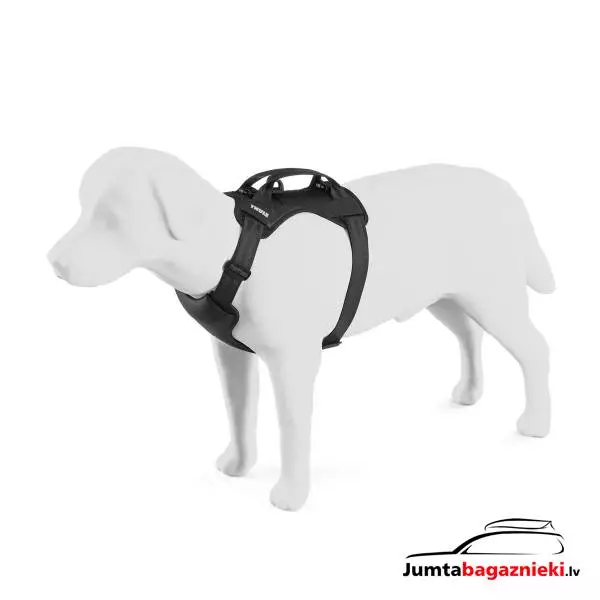 Thule Cappy M 771002